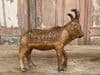 Pair of Teak & Papier Mache Polychrome Bull, Bikaner circa 1900