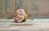 Pink Painted Porcelain Door Knobs