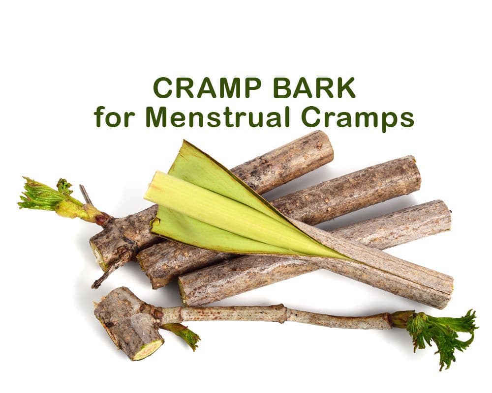 Cramp Bark for Menstrual Cramping and Muscle Relief
