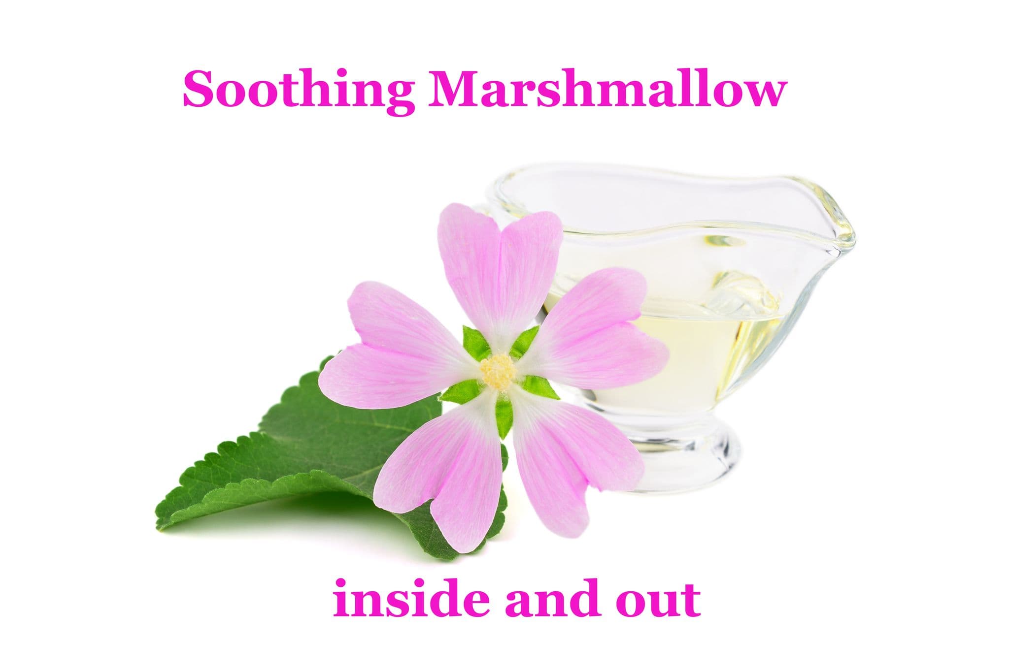 Soothing Marshmallow Root