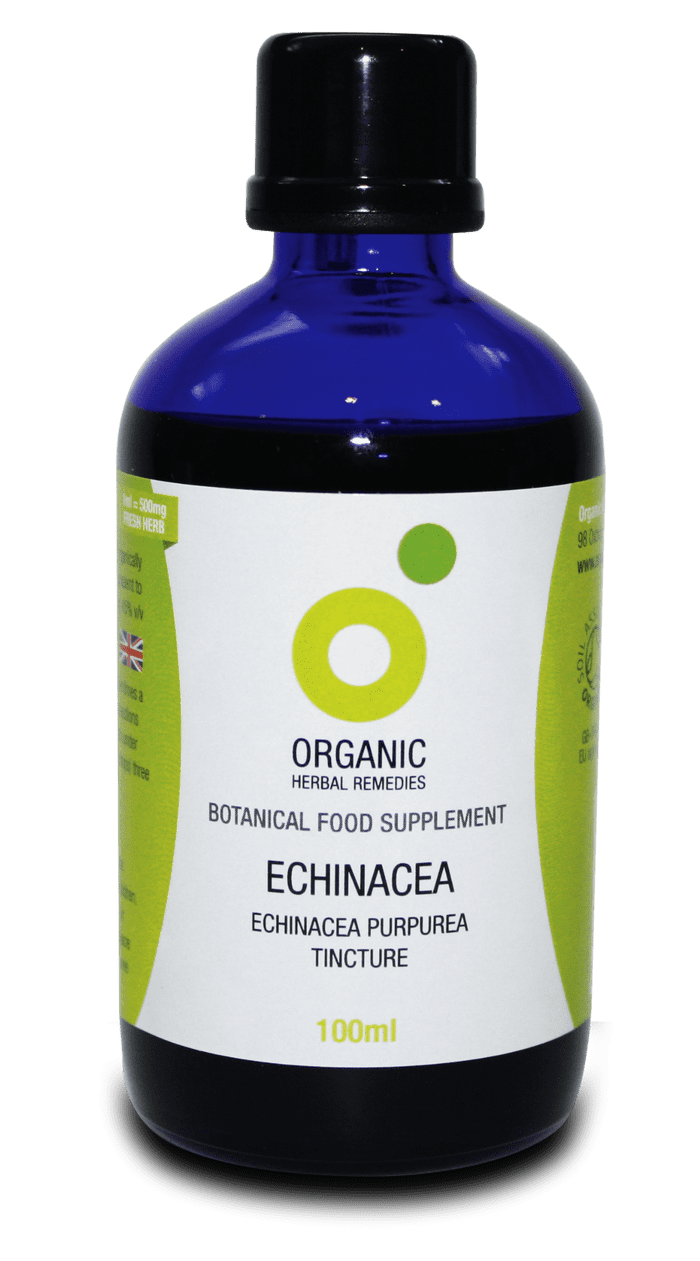 Echinacea Tincture 100ml | Organic Herbal Remedies