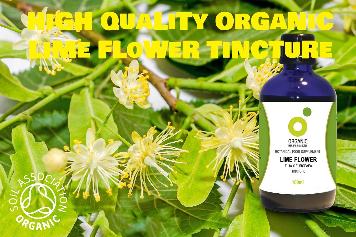 Lime Flower Tincture 100ml
