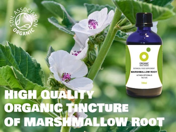 Marshmallow Root Tincture Organic Althaea Officinalis