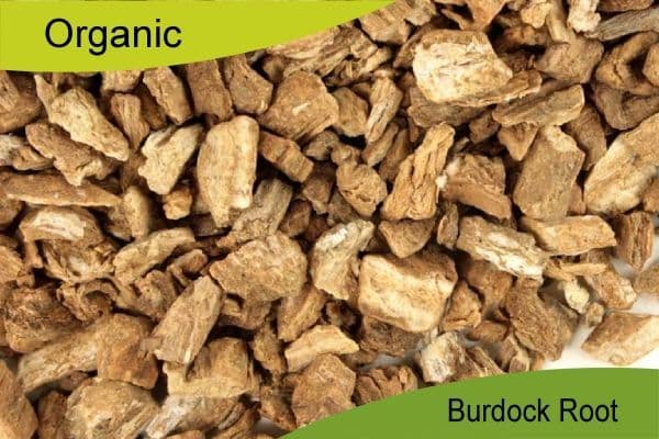 Organic Burdock Root 500gm