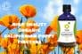 Organic Californian Poppy Tincture 100ml