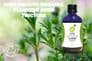 Cleavers Tincture 100ml | Organic Galium Aperine Extract