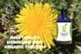 Organic Dandelion Tincture 100ml