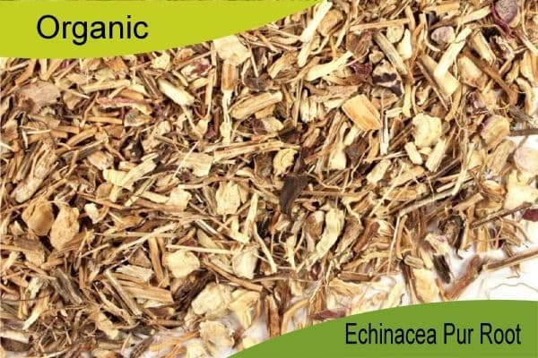 Organic Echinacea Purpurea Root 100gm