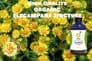 Organic Elecampane Tincture 100ml