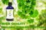 Organic Ginkgo Biloba Tincture 100ml