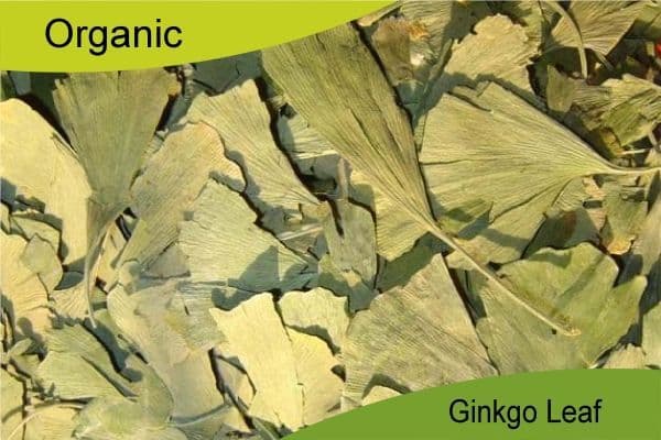 Organic Ginkgo Leaf 200gm