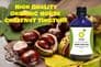 Organic Horse Chestnut Tincture 100ml