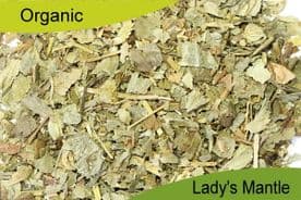 Organic Lady's Mantle 100gm