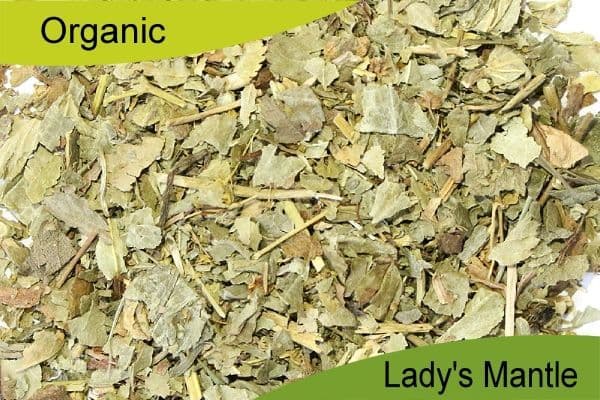 Organic Lady's Mantle 100gm