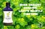 Organic Lady's Mantle Tincture 100ml