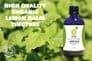 Lemon Balm Tincture | Organic Melissa Officinalis