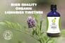 Licorice Tincture | Organic Liquorice Root Extract