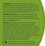 Meadowsweet Tincture | Organic Filipendula Ulmaria | Natural Remedy Heartburn Stomach Acid