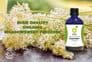 Meadowsweet Tincture | Organic Filipendula Ulmaria | Natural Remedy Heartburn Stomach Acid