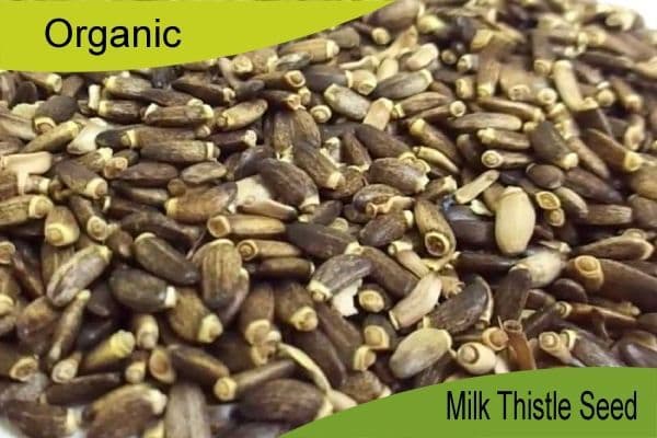 Organic Milk Thistle Seed 500gm