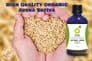 Oat Seed Tincture | Organic Avena Sativa
