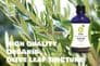 Organic Olive Leaf Tincture 100ml