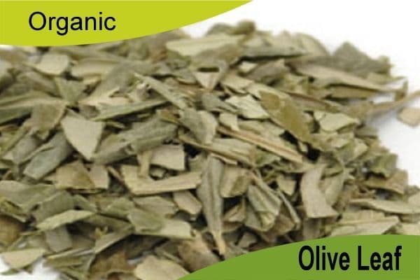 Organic Olive Leaves 250gm