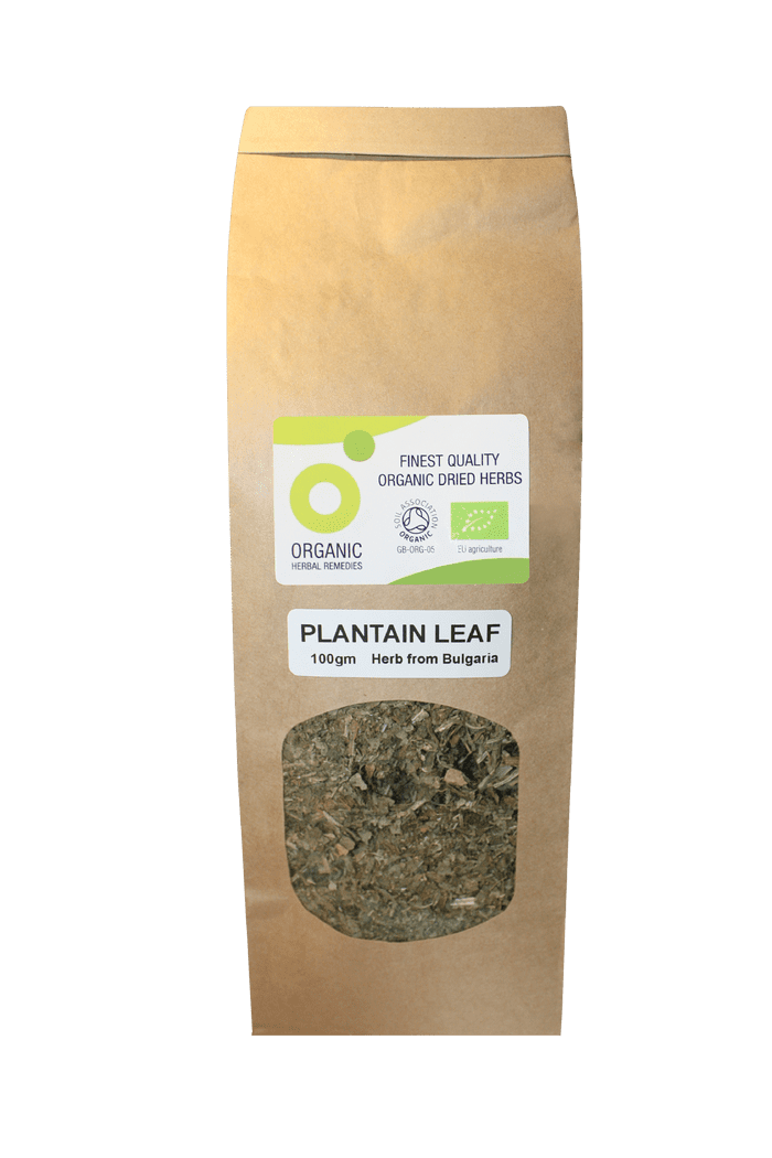 Organic Plantain Leaf 100gm