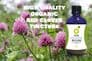 Red Clover Tincture | Organic Extract Trifolium Pratense