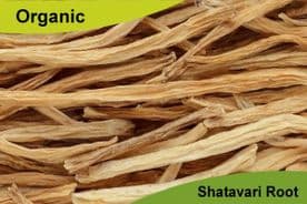 Organic Shatavari Root 250gm