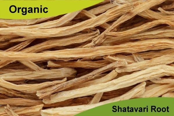Organic Shatavari Root 500gm