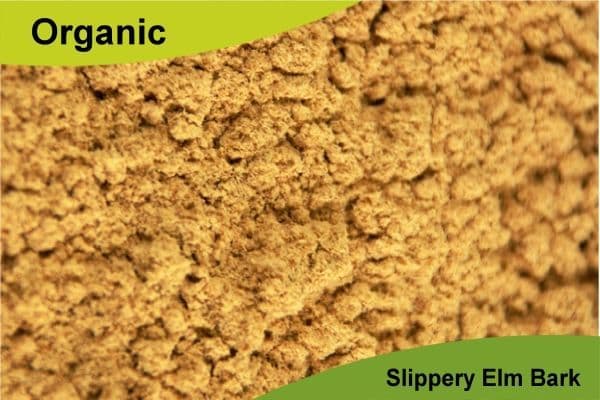 Organic Slippery Elm Bark Powder 500gm
