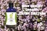 Organic Thyme Tincture 100ml