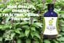 Organic Tulsi Tincture 100ml