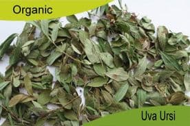 Organic Uva Ursi 250gm