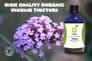 Vervain Tincture 100ml | Organic Verbena Officinalis