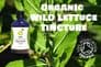 Organic Wild Lettuce Tincture 100ml
