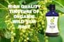 Wild Yam Tincture | Organic Dioscorea Villosa Extract