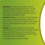 Plantain Tincture | Organic Plantago