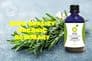 Rosemary Tincture | Organic Rosmarinus Officinalis Leaf