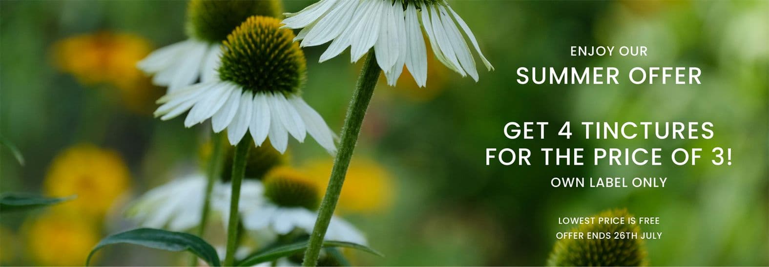 Organic Herbal Tincture Discounts