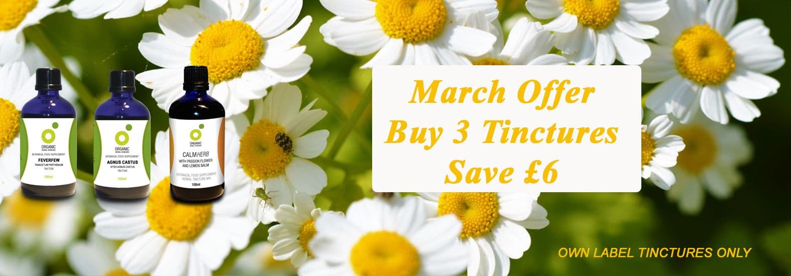 Organic Herbal Tincture Discounts