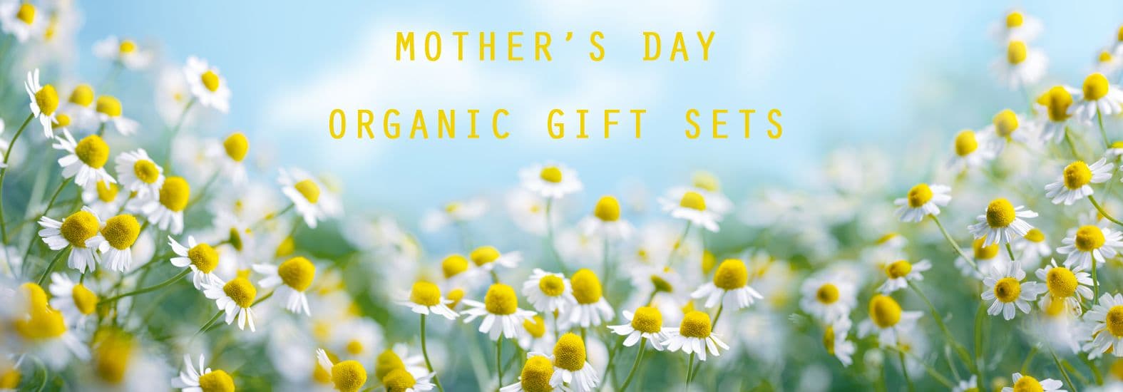 Organic Herbal Tincture Discounts