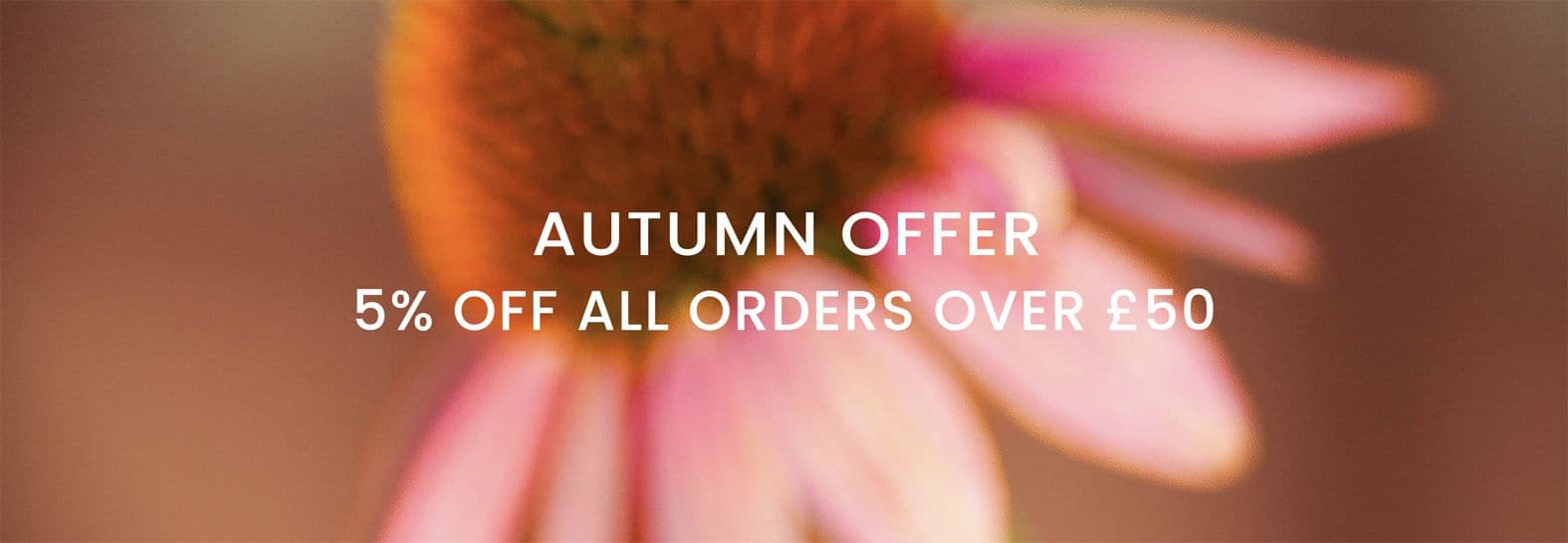 Organic Herbal Tincture Discounts