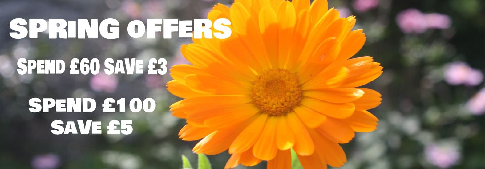 Organic Tinctures Dried Herbs Superfoods Organic Herbal Remedies