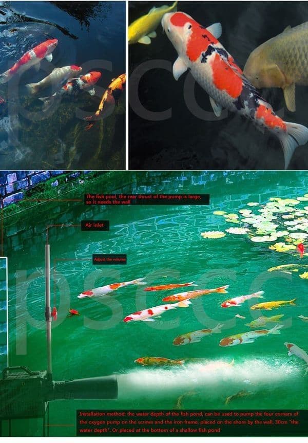 BF450 Pond Portable Venturi Style Aerator Pump Wave Maker 30600 L/hr 240V~50Hz