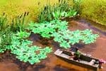 14114 Noch; HO / OO Scales Laser Cut Water Lilies (approx 60 square cm)
