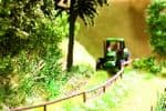 14606 Noch N scale ; Laser Cut Ferns (18)