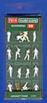 5300  PECO Modelscene Cricket Team  OO   