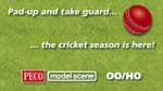 5300  PECO Modelscene Cricket Team  OO   